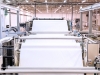 Production of Hygienic paper, Krapina Croatia (7)